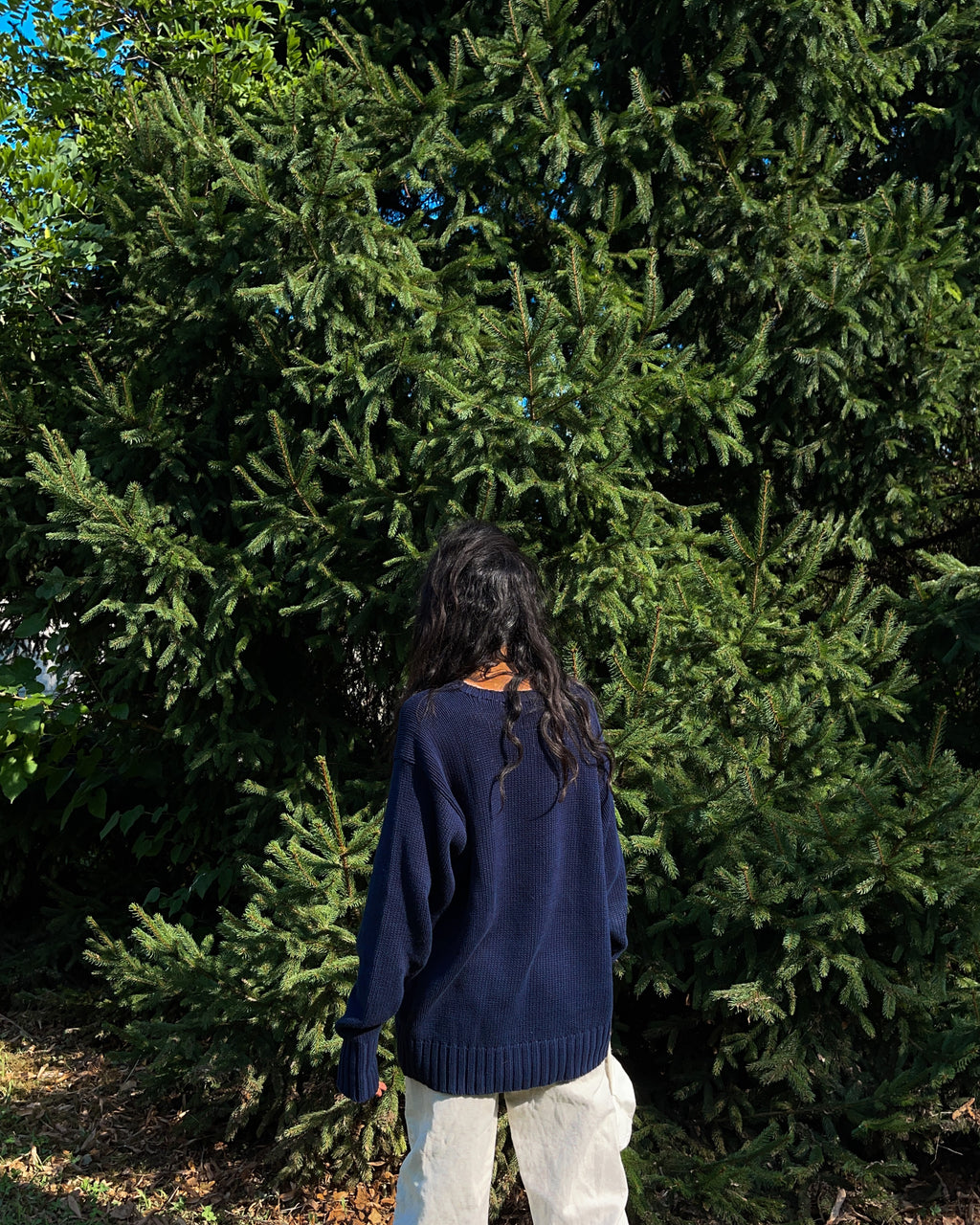 Polo Ralph Lauren iconic jumper