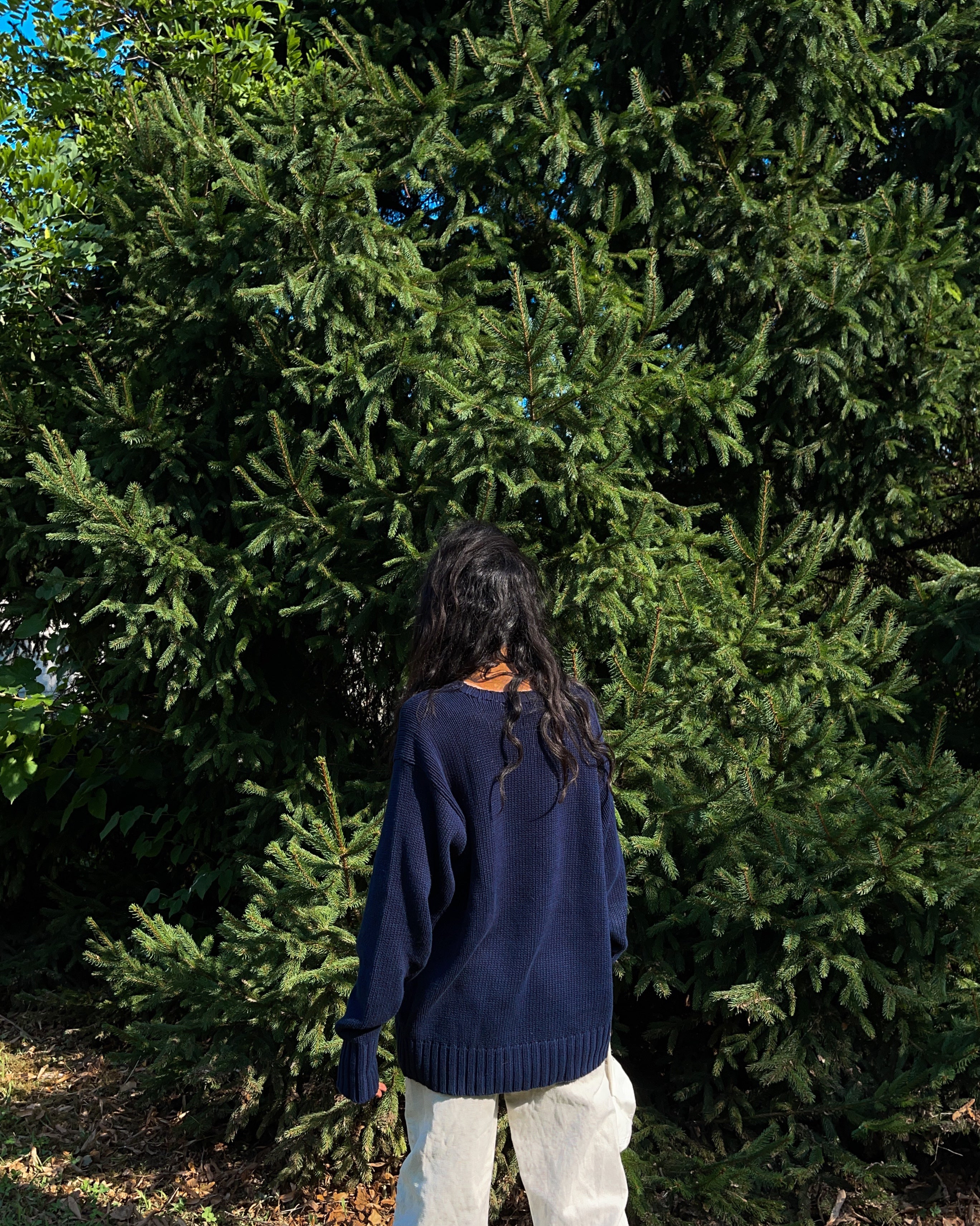 Polo Ralph Lauren iconic jumper