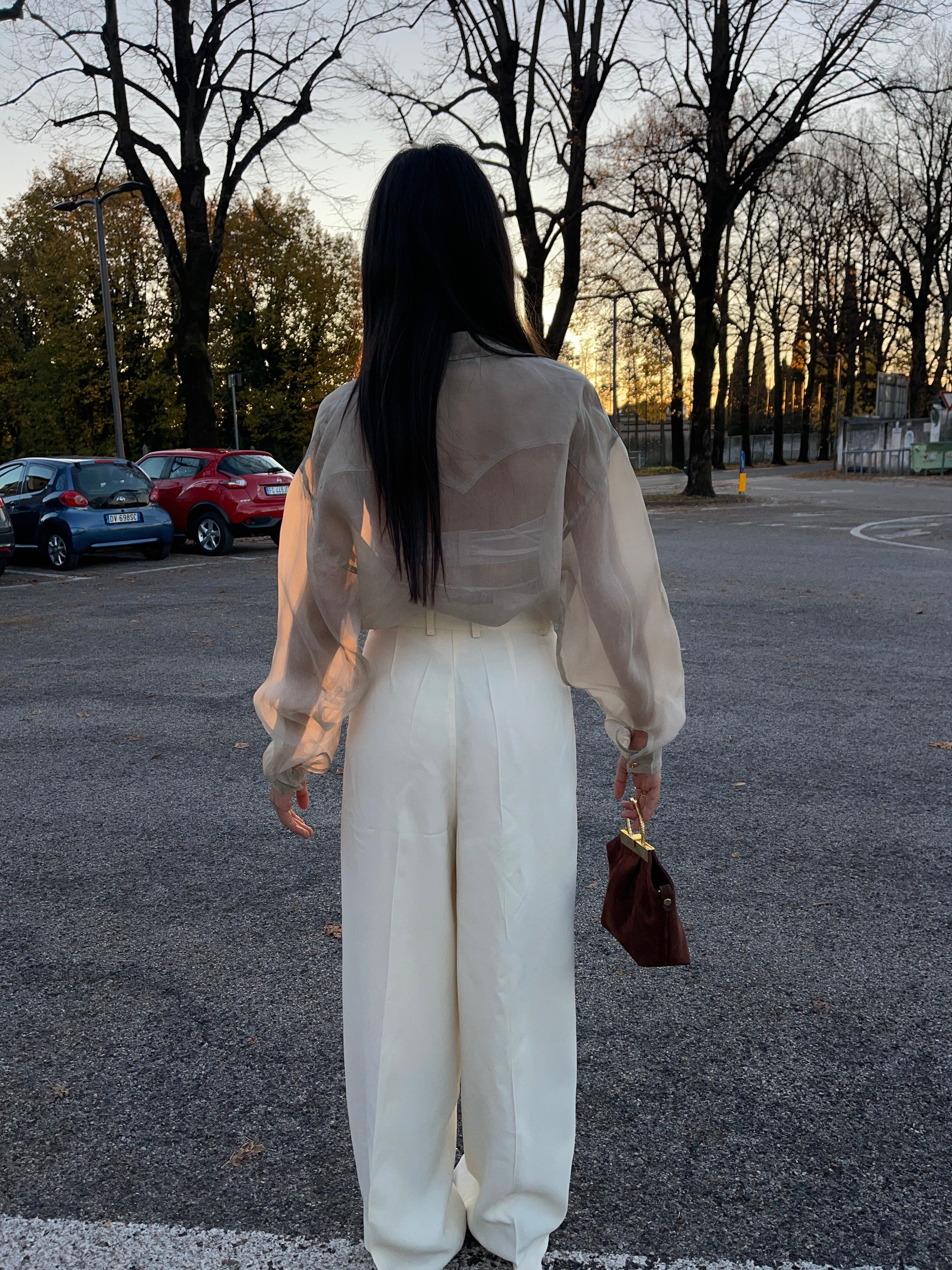 Sheer shirt
