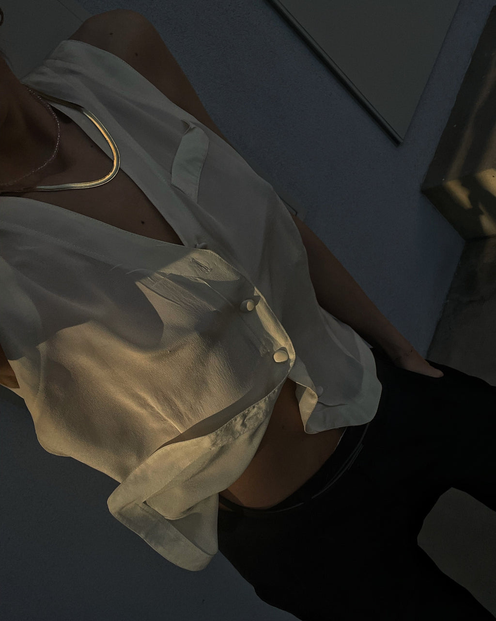 100 silk top
