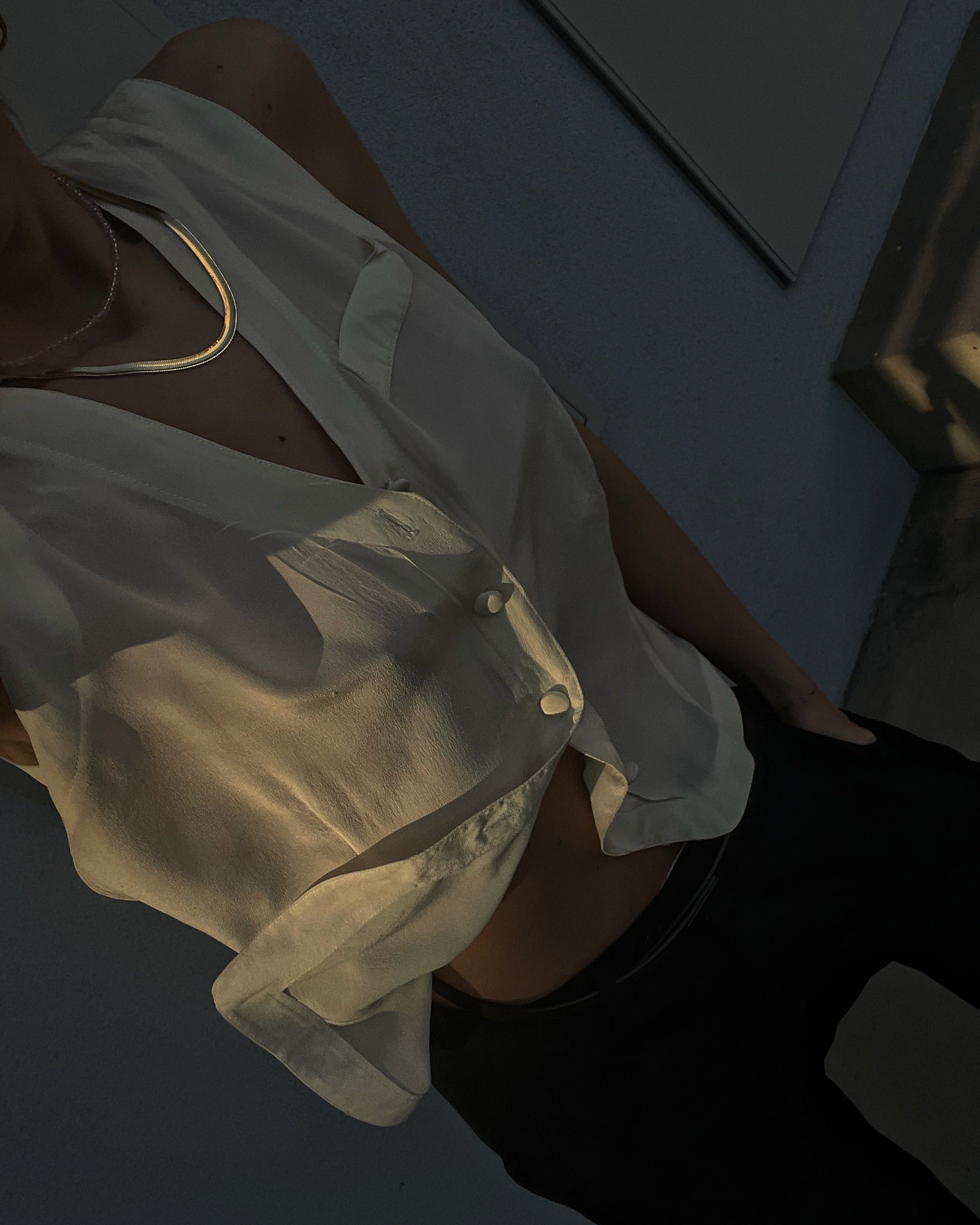 100 silk top