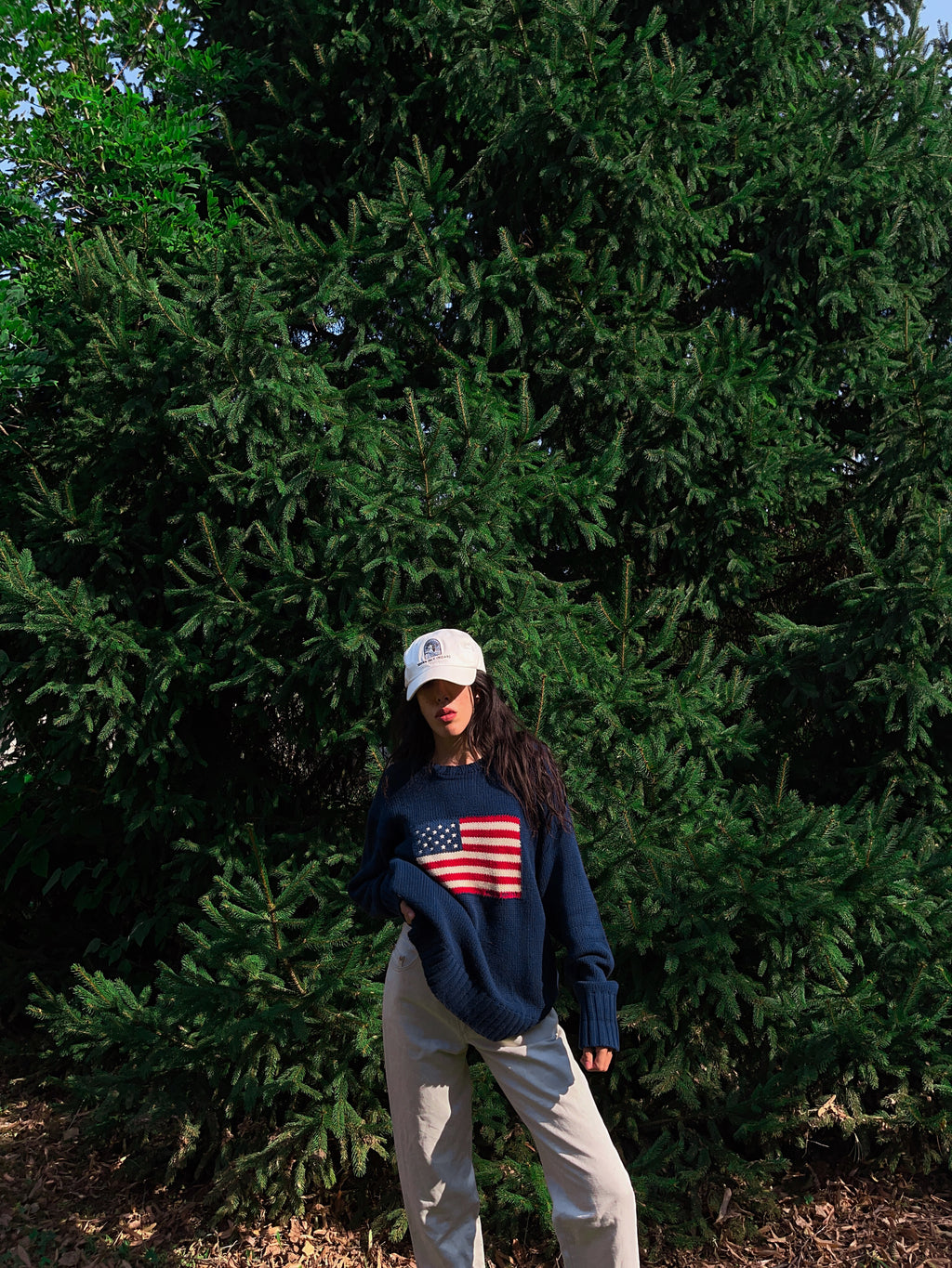 Polo Ralph Lauren iconic jumper