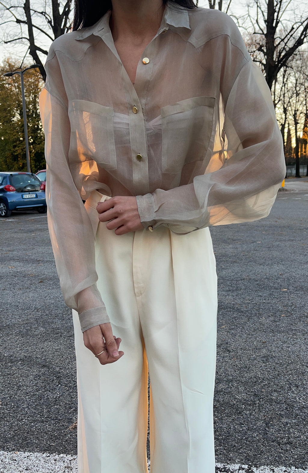 Sheer shirt
