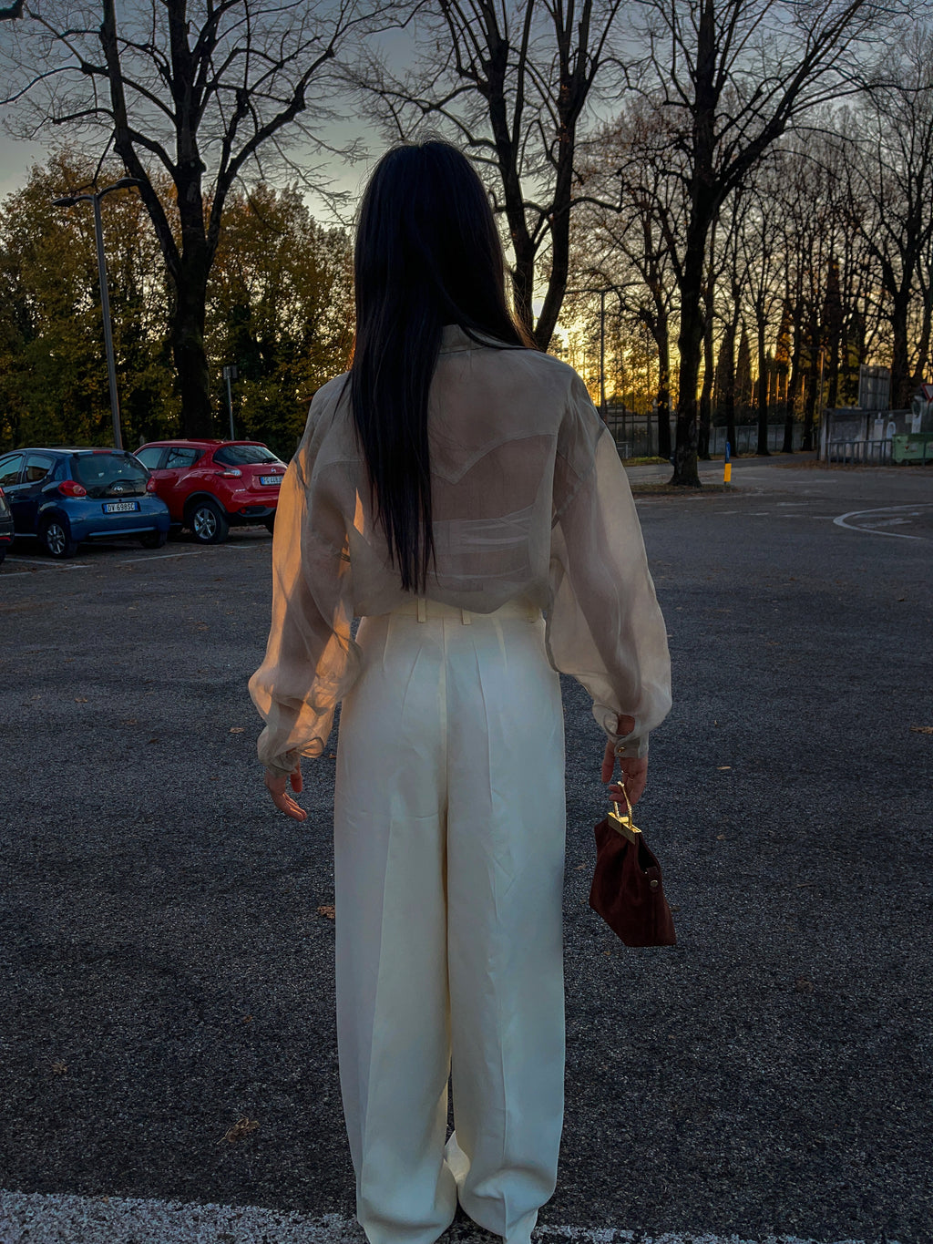 Sheer shirt