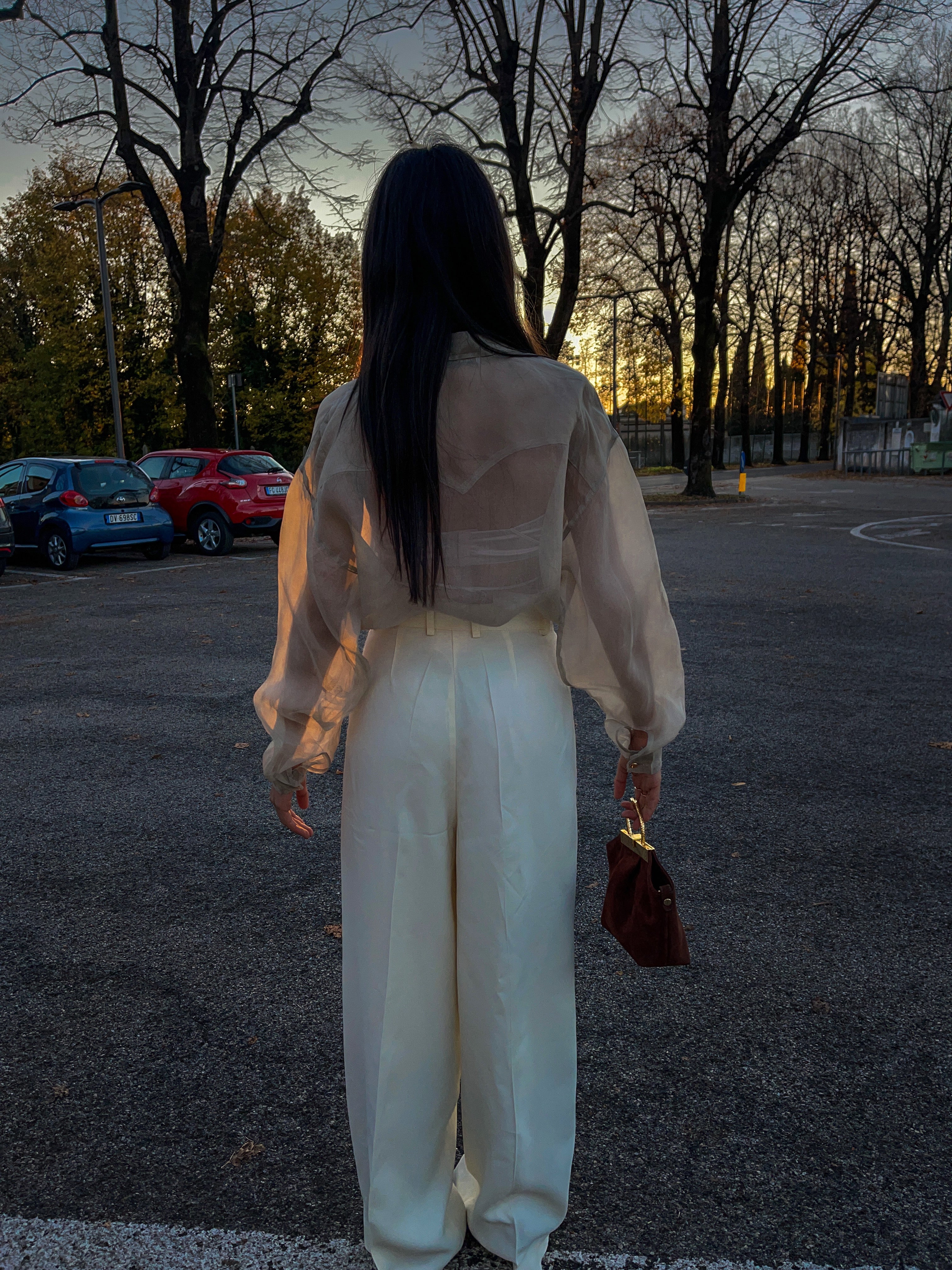 Sheer shirt