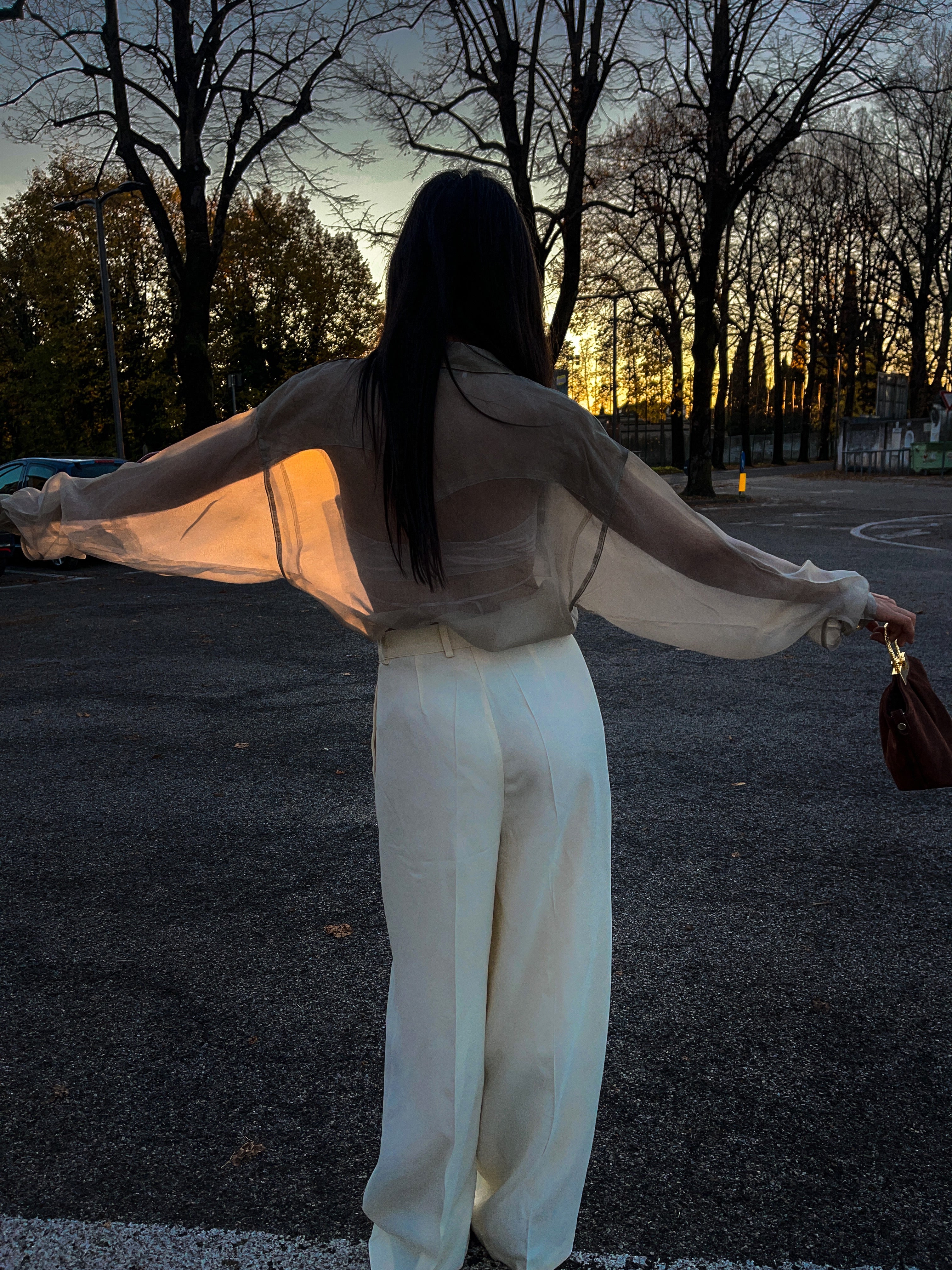 Sheer shirt